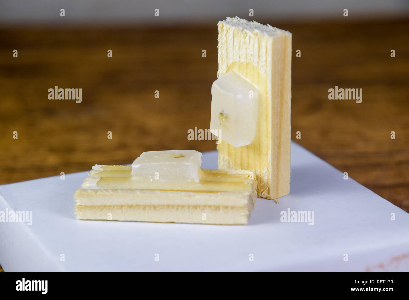 Paraffin block hi-res stock photography and images - Alamy