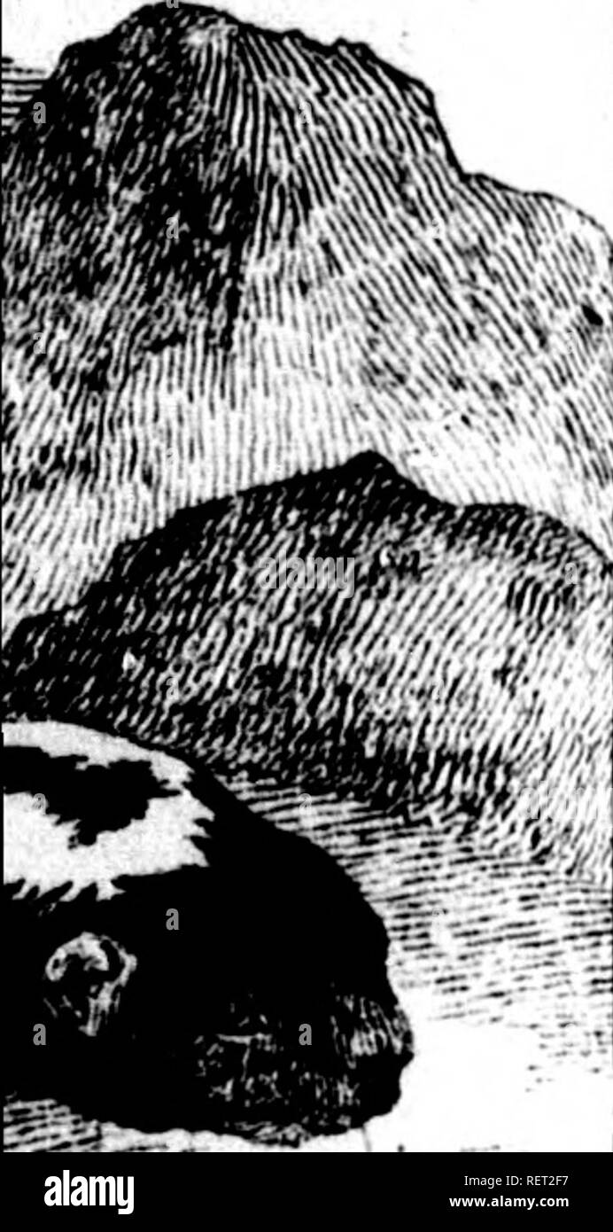 Page 4 M J N High Resolution Stock Photography And Images Alamy