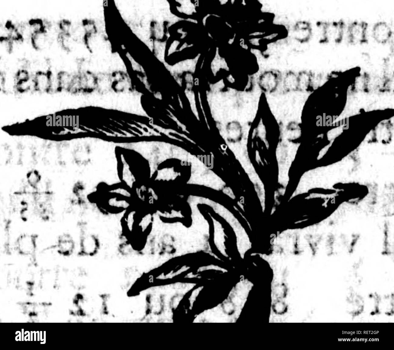 Page 3 Vvt I High Resolution Stock Photography And Images Alamy