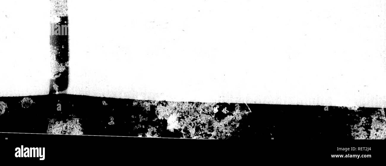 Page 2 Titt High Resolution Stock Photography And Images Alamy