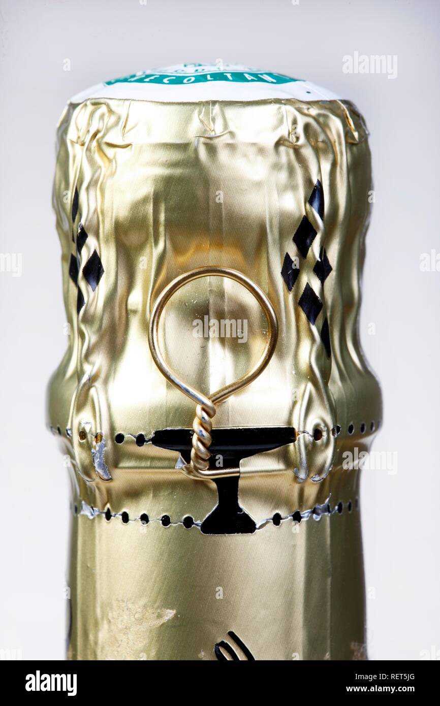 Cap of a bottle of Champagne Stock Photo Alamy