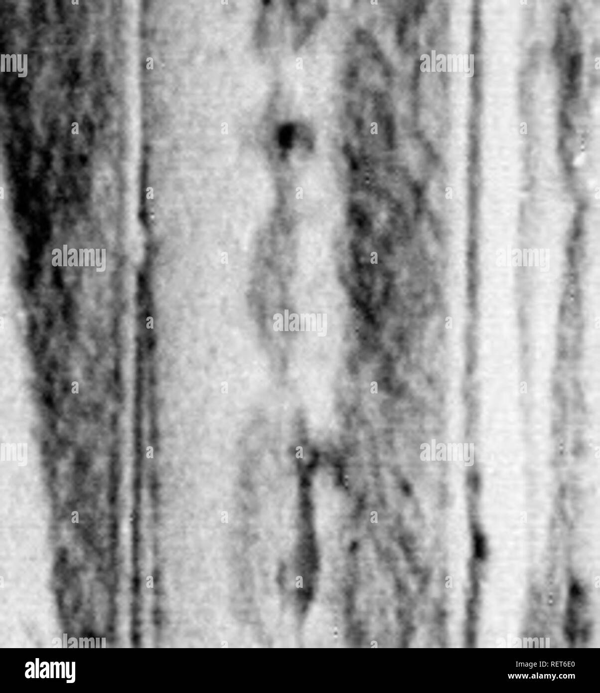 Cisive High Resolution Stock Photography And Images Alamy