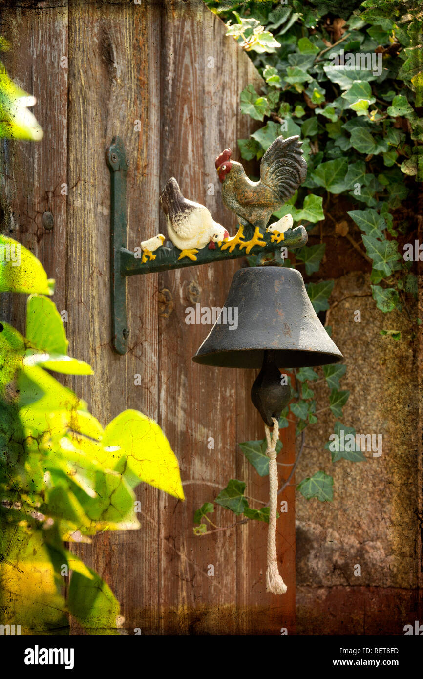 Bell bird hi-res stock photography and images - Alamy