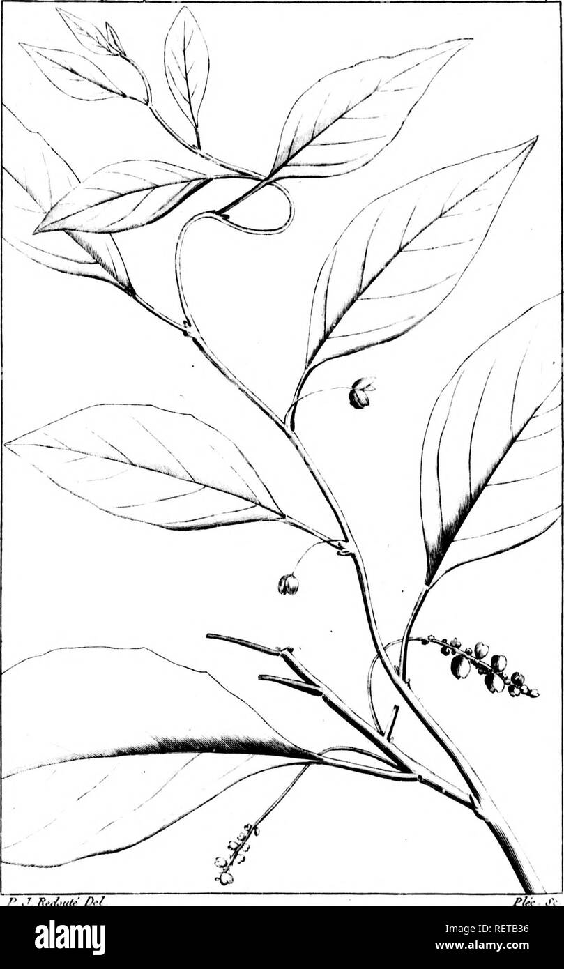 Li 2t High Resolution Stock Photography And Images Alamy