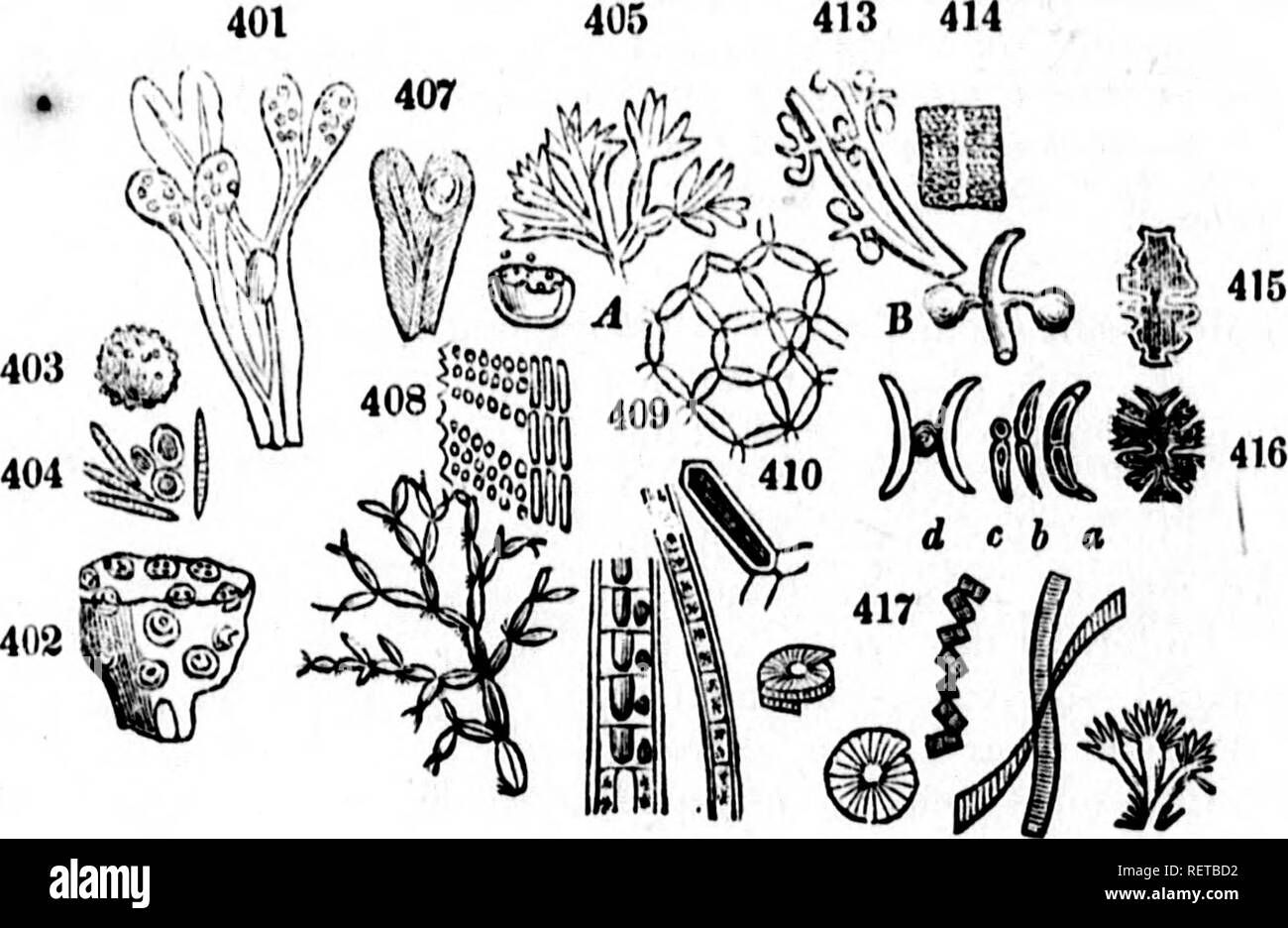 Eaux plus douces Black and White