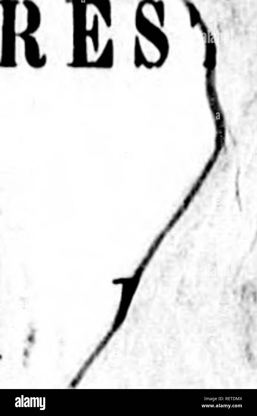 Kuwa High Resolution Stock Photography And Images Alamy