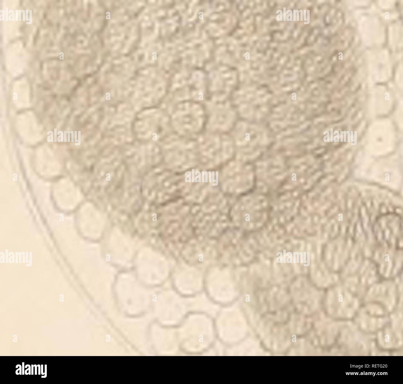 Page 123 A G 10 High Resolution Stock Photography And Images Alamy