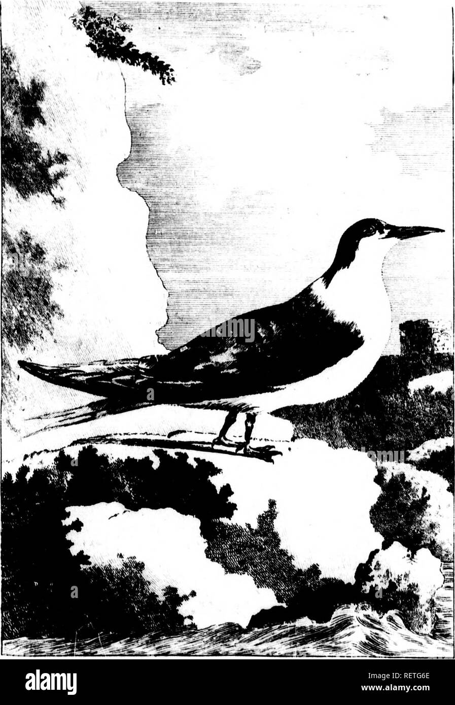 Accord Intermarché Leclerc La Commission Inflexible Face