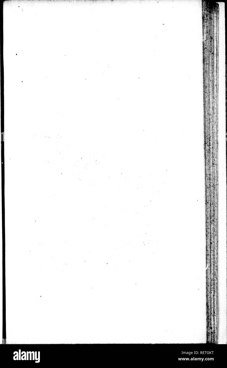 . The natural history of birds [microform] : from the French of the Count de Buffon. Ornithology; Birds; Ornithologie; Oiseaux. . Please note that these images are extracted from scanned page images that may have been digitally enhanced for readability - coloration and appearance of these illustrations may not perfectly resemble the original work.. Buffon, Georges Louis Leclerc, comte de, 1707-1788. London : Printed for A. Strachan, and T. Cadell in the Strand, and J. Murray . .. Stock Photo