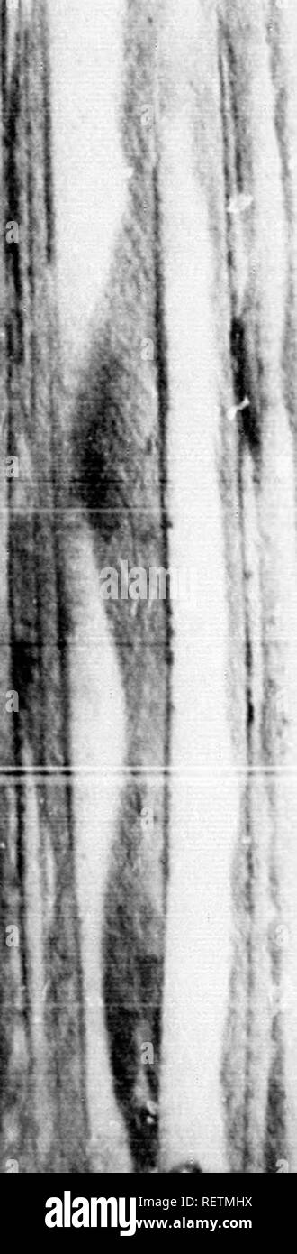 Page 11 Luit High Resolution Stock Photography And Images Alamy