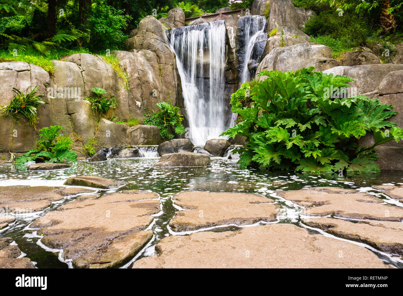 Huntington Falls, an artificial waterfall in Golden Gate Park, San Francisco, California Stock Photo