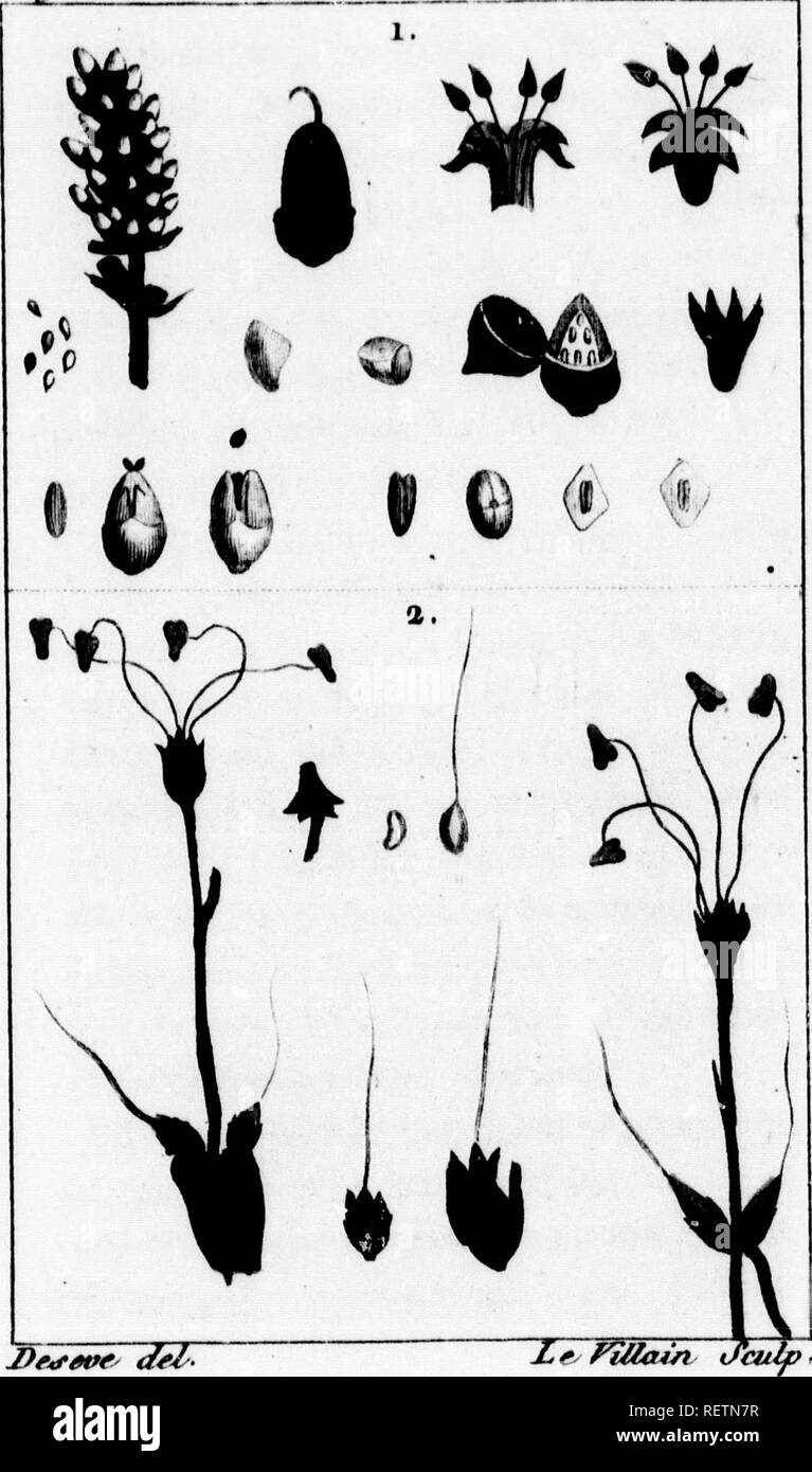 Histoire Naturelle Des Vegetaux Classes Par Familles Microforme Avec La Citation De La Classe Et De L Ordre De Linne Et L Indication De L Usage Que L On Peut Faire Des Plantes Dans