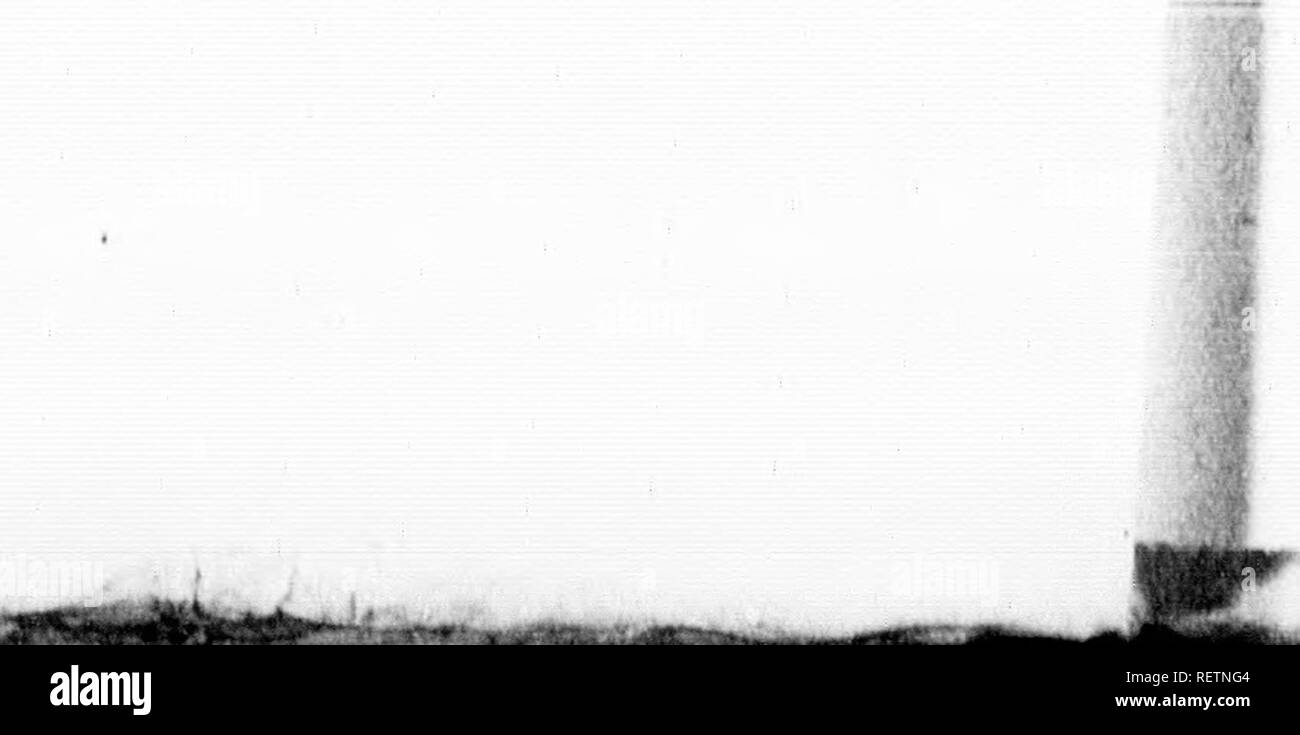 Li Ma Black And White Stock Photos Images Page 3 Alamy