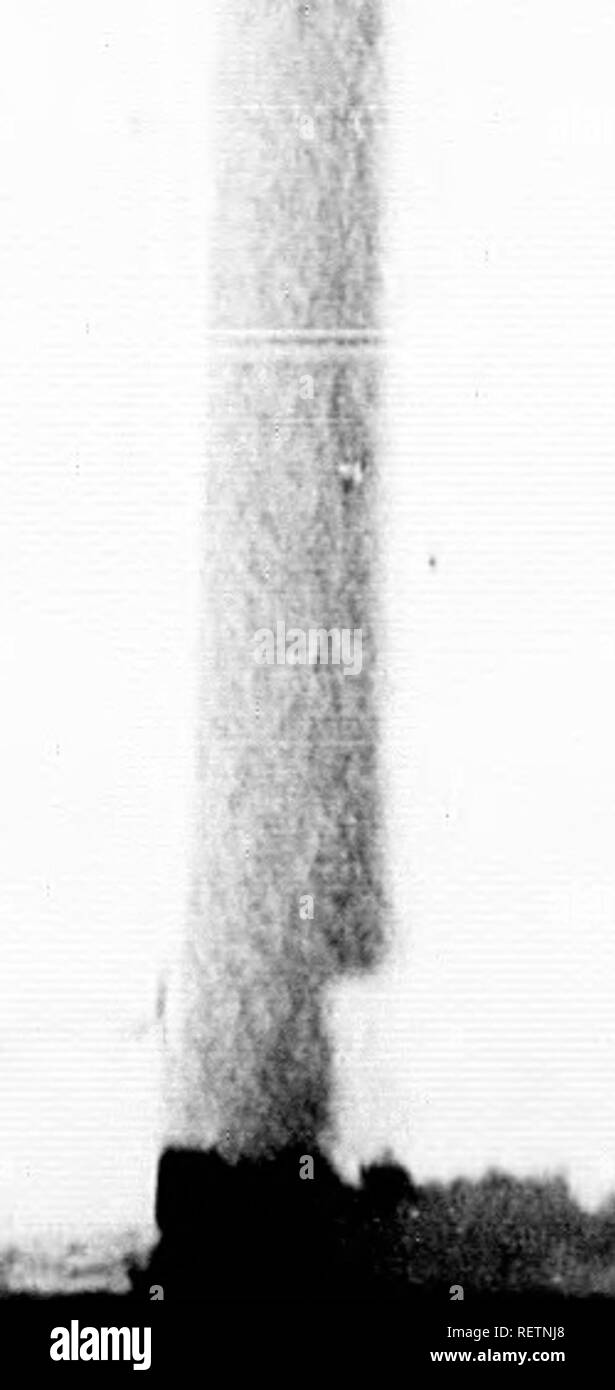 Page 5 Ajs A High Resolution Stock Photography And Images Alamy Page 5 Ajs A High Resolution Stock Photography And Images Alamy