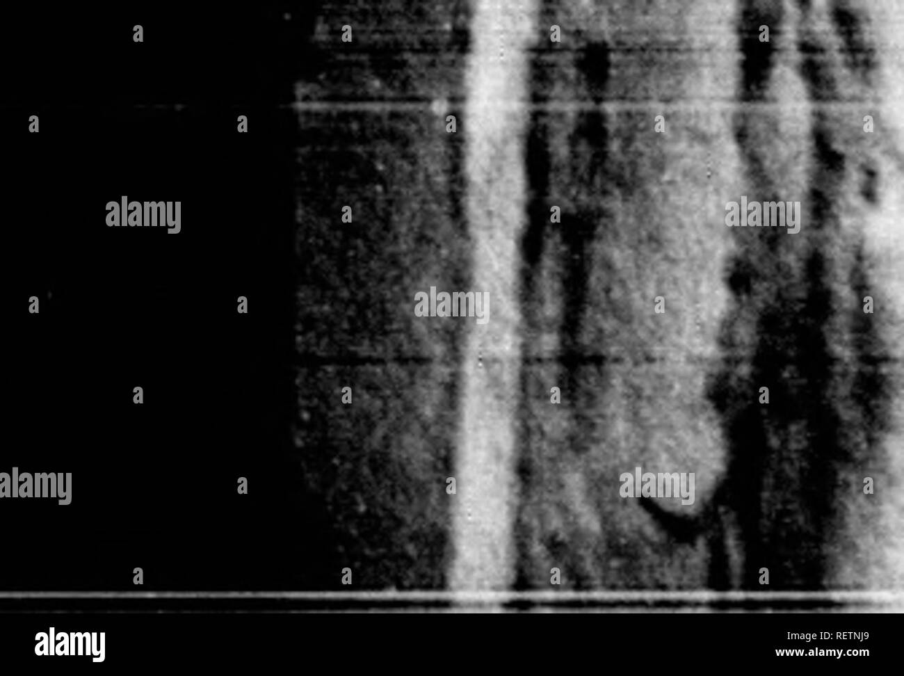 Li Ma Black And White Stock Photos Images Page 3 Alamy