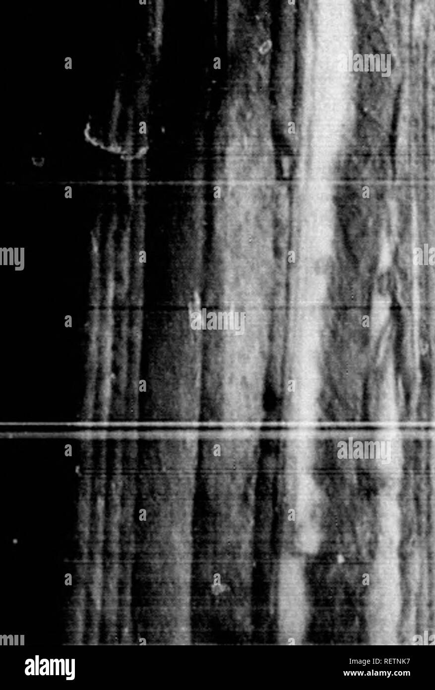 Embrasser Black And White Stock Photos Images Alamy Embrasser Black And White Stock Photos Images Alamy