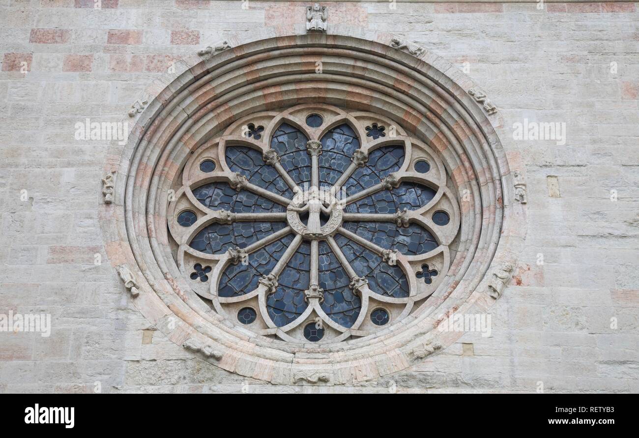 Rose window on the facade of Trento Cathedral, Trento, Trentino, Alto Adige, Italy, Europe Stock Photo