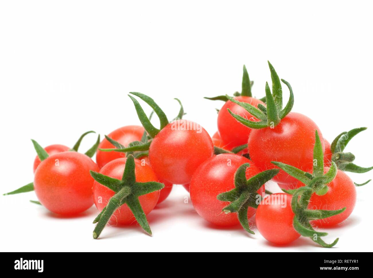 Cocktail tomatoes, cherry tomatoes Stock Photo Alamy