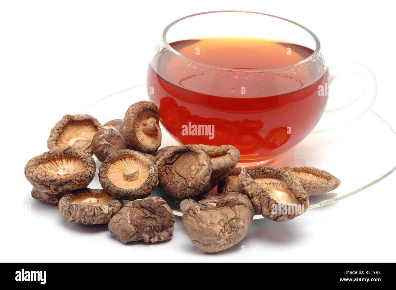 Tea made of Shiitake mushrooms (Lentinula edodes), spice mushroom