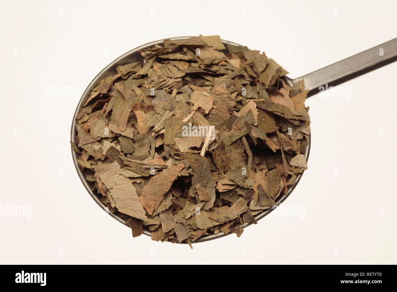 Gingko (Ginkgo biloba), dried leaves Stock Photo