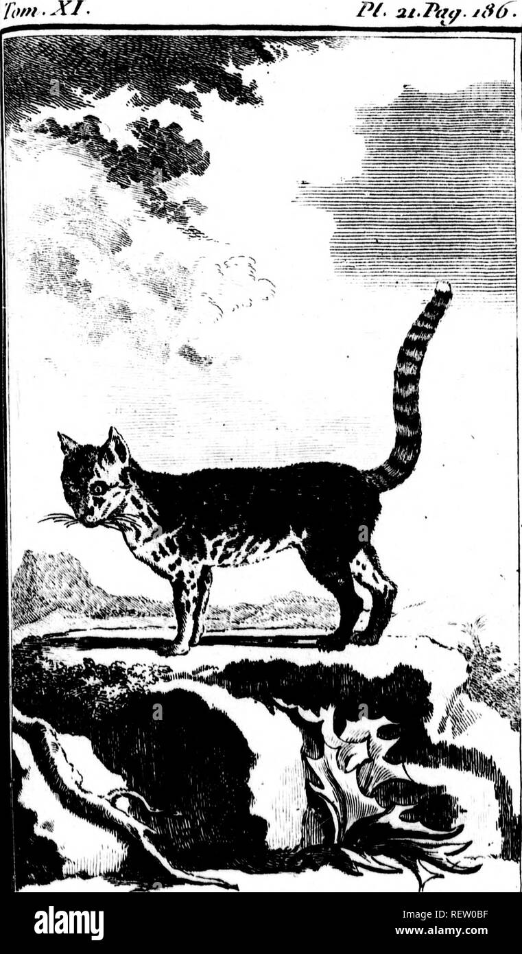 Laj Black And White Stock Photos Images Alamy Laj Black And White Stock Photos Images Alamy