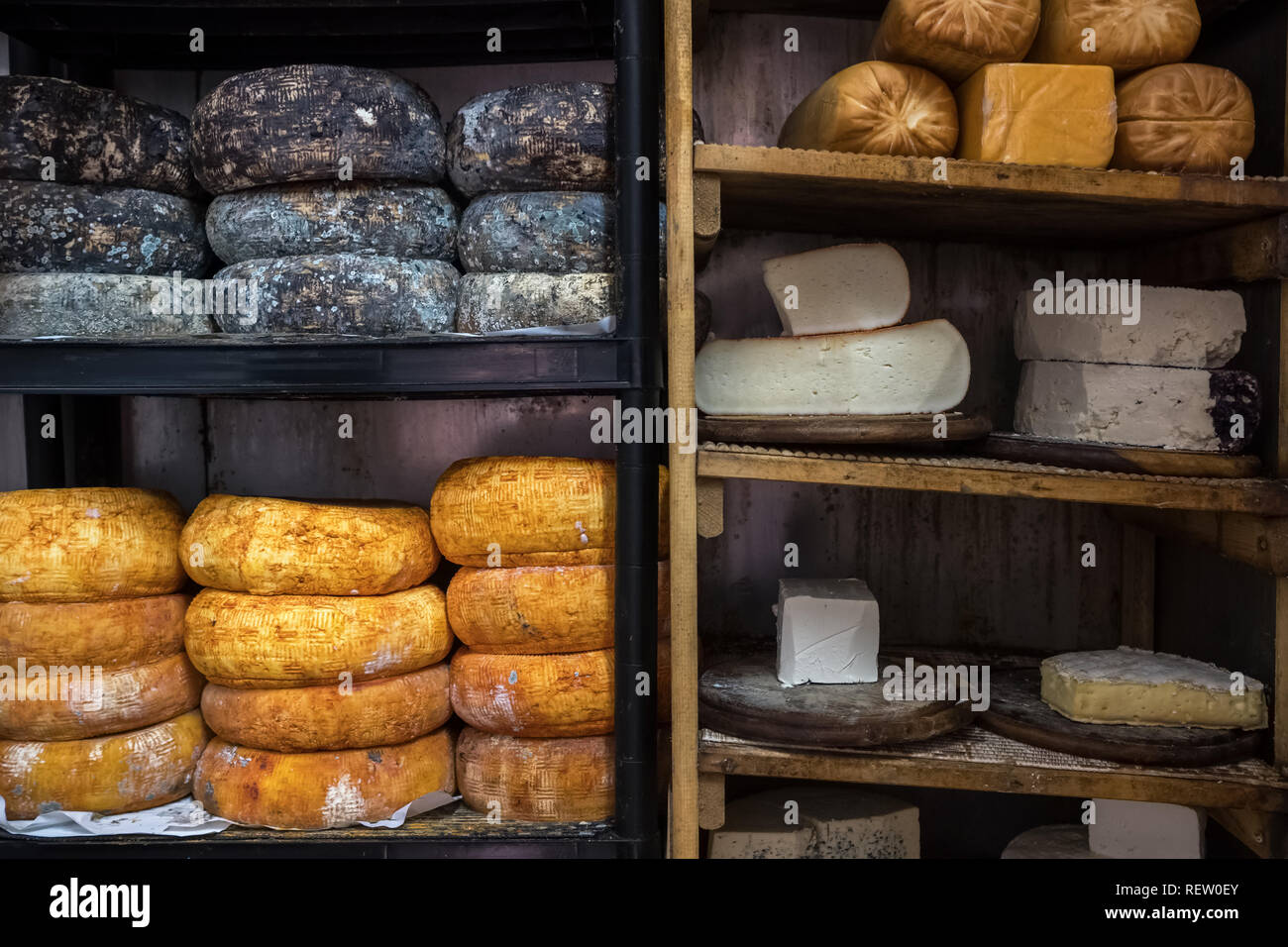 Different kinds of goat cheese on shelves in cellar in a cheese farm in