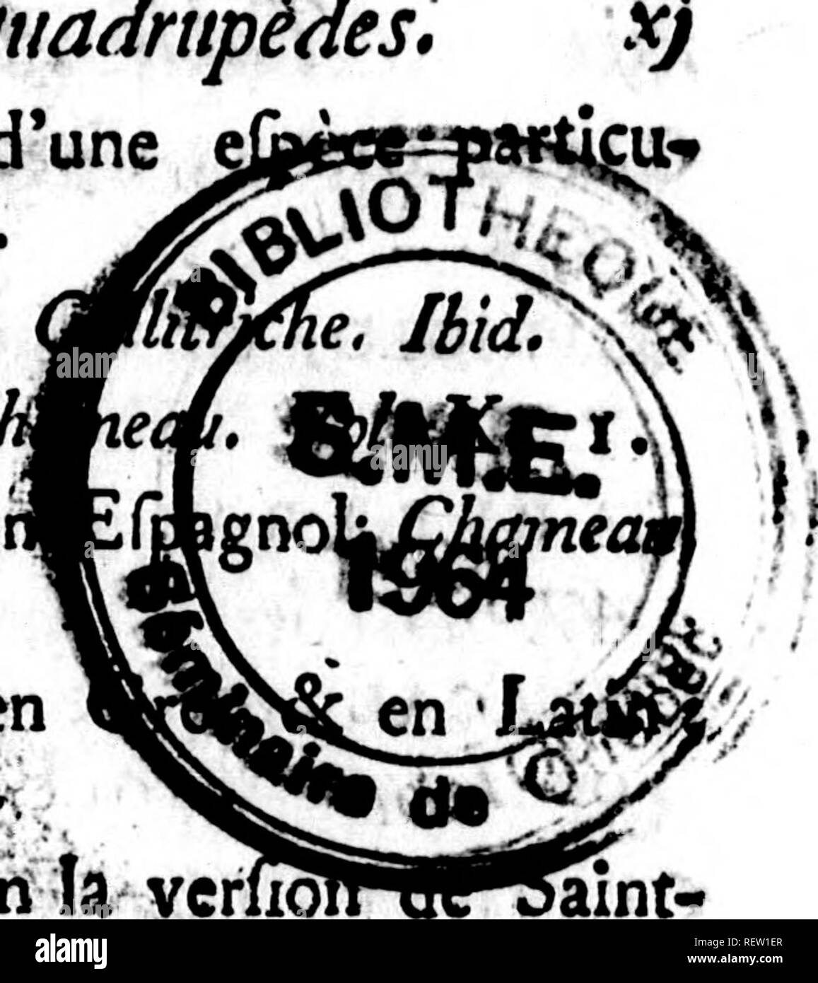 . Histoire naturelle, gÃ©nÃ©rale et particuliÃ¨re [microforme]. Sciences naturelles; Natural history. is. Vol. vil. â p/. X, 392, 1 â . J. :&gt;'r-. â 'e i PÃ©cari f 1 ^^^B ; ÃhevreuiL â ^^w n Espagnol; Vol. IX, rOrcnoque; Portugais ; , e/pÃ¨ce de 283. 22. Â«non* /^'&lt;/Â«. ^es Animaux (juadrupÃ¨Aes, Callitrix, Guenon d'une liÃ¨re. Vol XII, 175. Callitrix, en Grec; Camel , en AngloÃ®s ; Ch Camelo, en Italien &amp; eÃ® Ibid, Camelo-Pardaljs, en Giraffe, Vol. XI, 2$^ CamelO'PARDUS, felÃ´ni la vcrf JÃ©rÃ´me, Giraffe. Ibid, 'Camelus,, en Latin, Chameau. Vol. X, r# Campagnol, efpÃ¨ce de Mulot. VoL Stock Photo