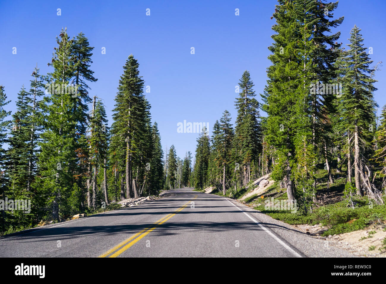 Travelling on a winding road through the evergreen forests of Lassen Volcanic National Park, Shasta County, California Stock Photo