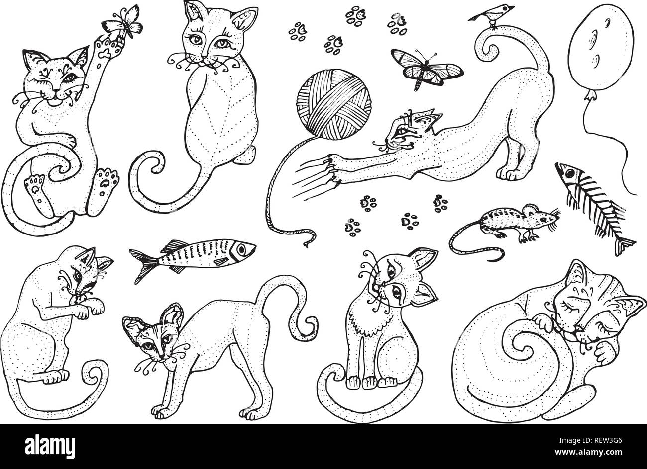 Set of cute cats. Kittens collection. Icons of vector Illustration, line art. Hand drawn Pets. Engraved vintage sketch. Decorative Elements. Fish and food and a ball of yarn. Stock Vector