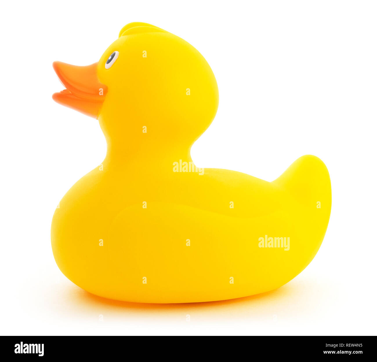 Isolated yellow plastic rubber ducky toy. Side view of a cute yellow rubber duck on a white background. Stock Photo