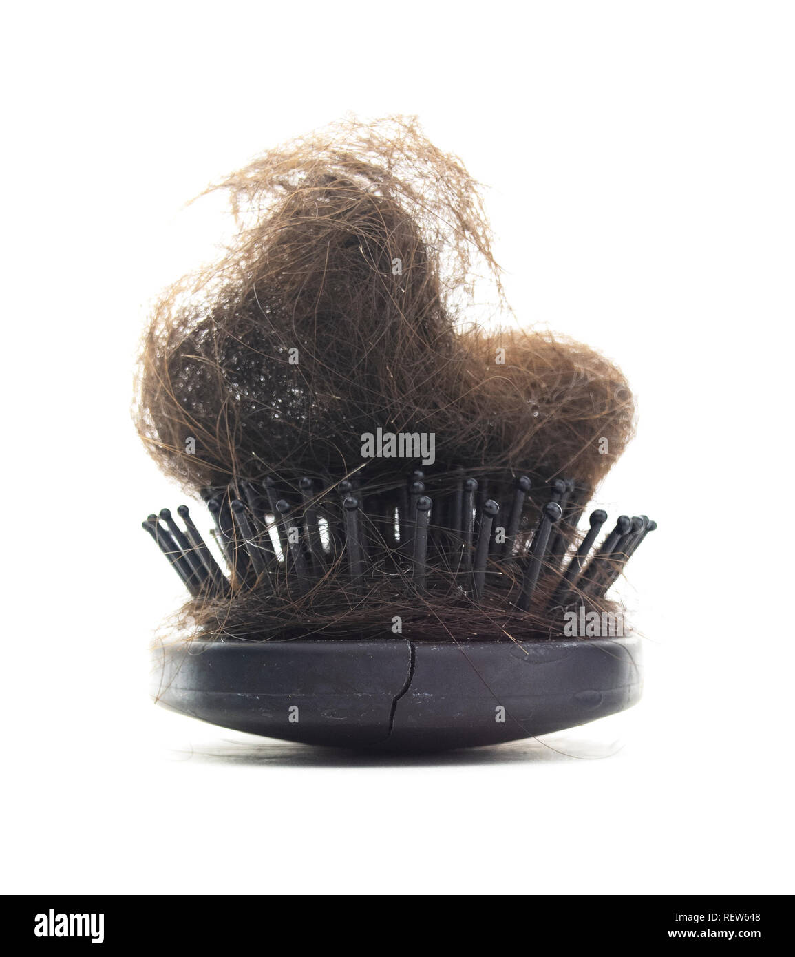 Isolated hairy hair brush. Black isolated hairbrush with lock of balding hair loss on a white background. Stock Photo