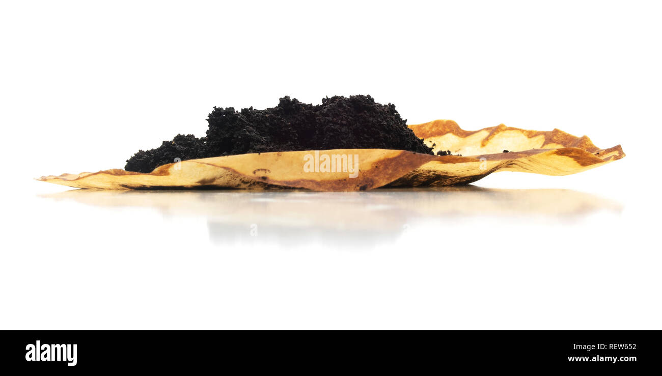 Isolated coffee grounds brewed filter. Low view of isolated brewed