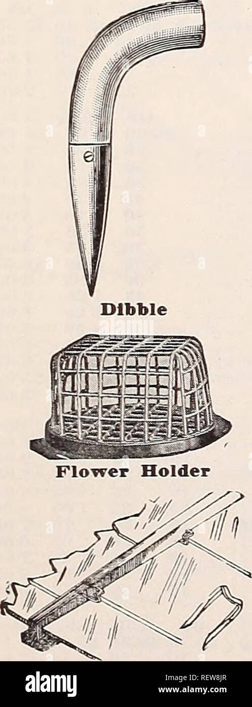 . Dreer's wholesale price list for florists : special spring edition. Bulbs (Plants) Catalogs; Vegetables Seeds Catalogs; Flowers Seeds Catalogs; Nurseries (Horticulture) Catalogs; Gardening Equipment and supplies Catalogs. Double Carnation Support Model Carnation Supports. Aprons. To protect the clothing while doing any work about the garden, the greenhouse, or garage. Rubber, heavy, 48 Inches long $3 Canvas, 42 Inches long 1 Bull Dog Clips. For fastening packages. Per 1000 Carnation Supports, Double. Possibly the best double support for carnations to be had—made of galvanized wire, quickly a Stock Photo