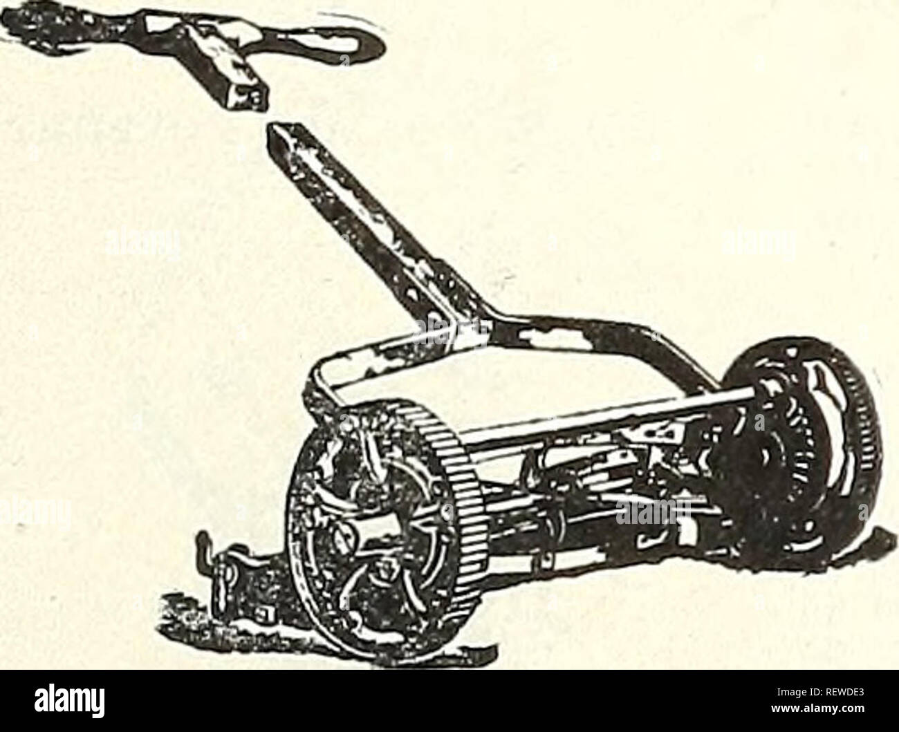Budding lawn mower hi-res stock photography and images - Alamy