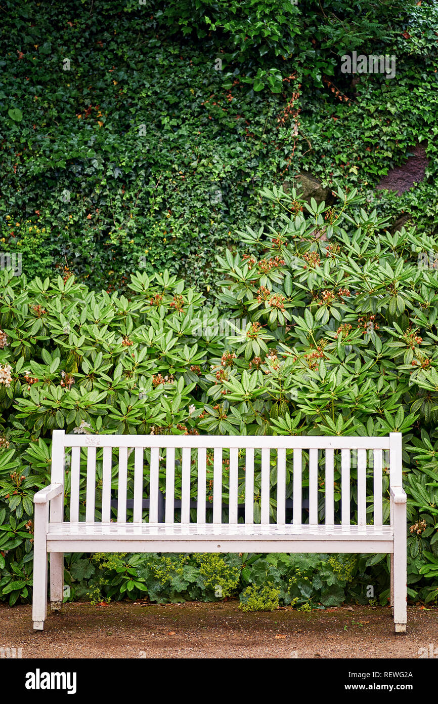 White park bench in front of green plants background Stock Photo - Alamy
