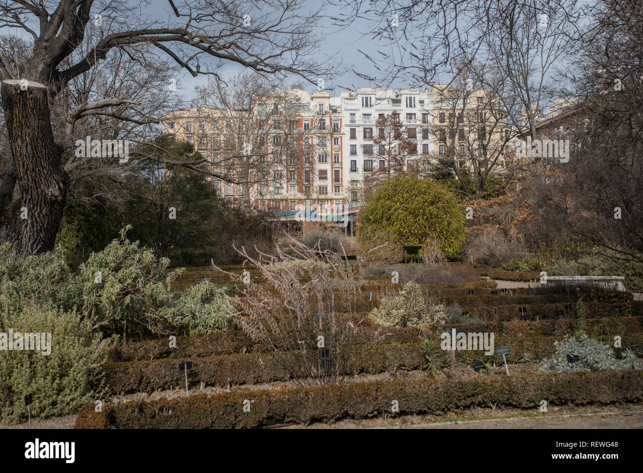 Real Jardin Botanico, Madrid, January 2019 Stock Photo
