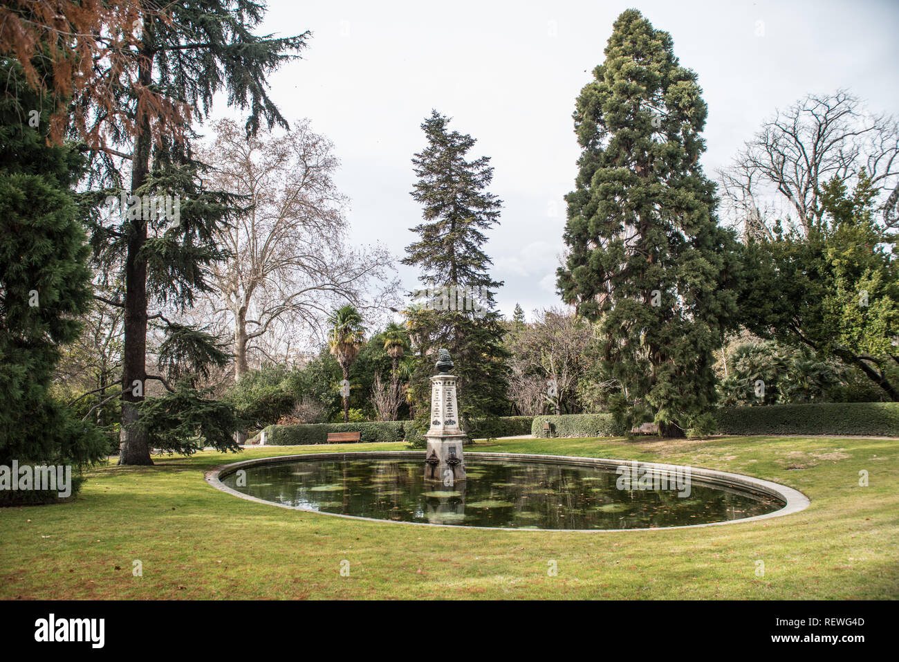 Real Jardin Botanico, Madrid, January 2019 Stock Photo
