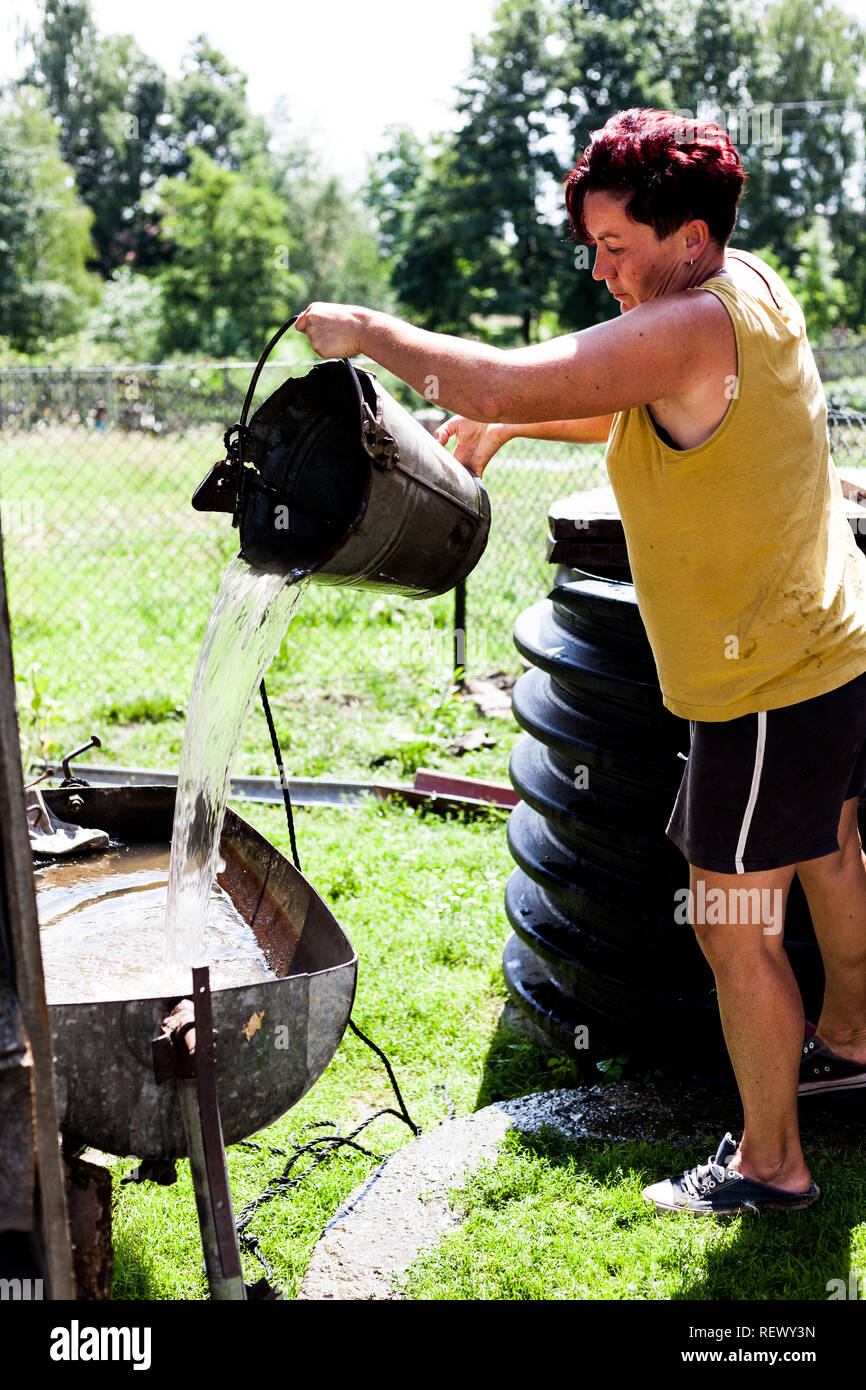 Fetching Lady View of a brunet woman transferring water from a source to a narrow ...