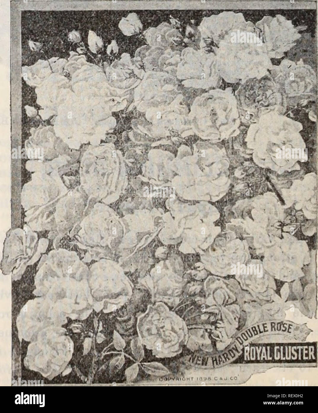 Gierstein hires stock photography and images Alamy