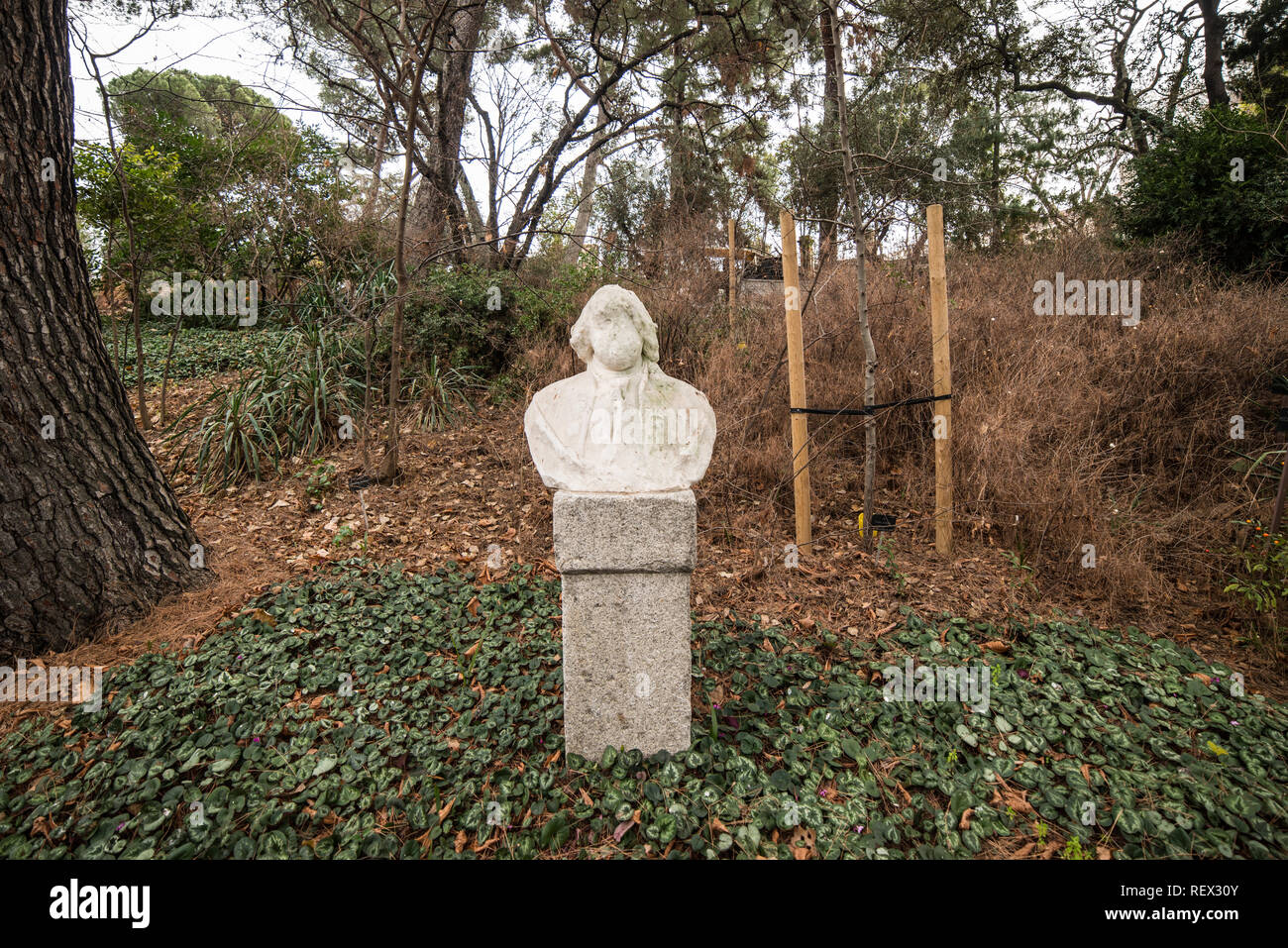 Albero giardino hi-res stock photography and images - Page 2 - Alamy