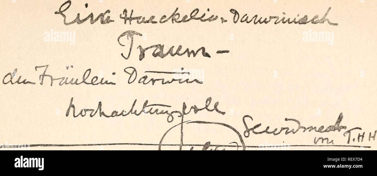 . Emma Darwin, a century of family letters, 1792-1896. Darwin, Emma Wedgwood, (Wedgwood), Mrs. , 1808-1896; Darwin, Charles, 1809-1882. fa*Jt* W 6*^&amp;p^ ^^ COM*.' ft* &lt;**•' y*&quot;^} hoi/h ^i^t^L ,--:^N. Please note that these images are extracted from scanned page images that may have been digitally enhanced for readability - coloration and appearance of these illustrations may not perfectly resemble the original work.. Litchfield, Henrietta Emma Darwin, 1843-. London, J. Murray Stock Photo