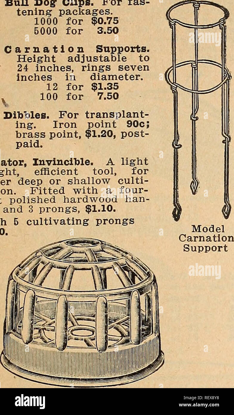 . Dreer's wholesale catalog for florists and market gardeners : 1942 winter spring summer. Bulbs (Plants) Catalogs; Vegetables Seeds Catalogs; Flowers Seeds Catalogs; Nurseries (Horticulture) Catalogs; Gardening Equipment and supplies Catalogs. Bull Dog- Clips. For fas- tening packages. 1000 for $0.75 5000 for 3.50 Carnation Supports. Height adjustable to 24 inches, rings seven Inches In diameter. 12 for $1.35 . 100 for 7.50 Dibbles. For transplant- ing. Iron point 90c; brass point, $1.20, post- paid. Cultivator, Invincible. A light weight, efficient tool, for either deep or shallow culti- vat Stock Photo