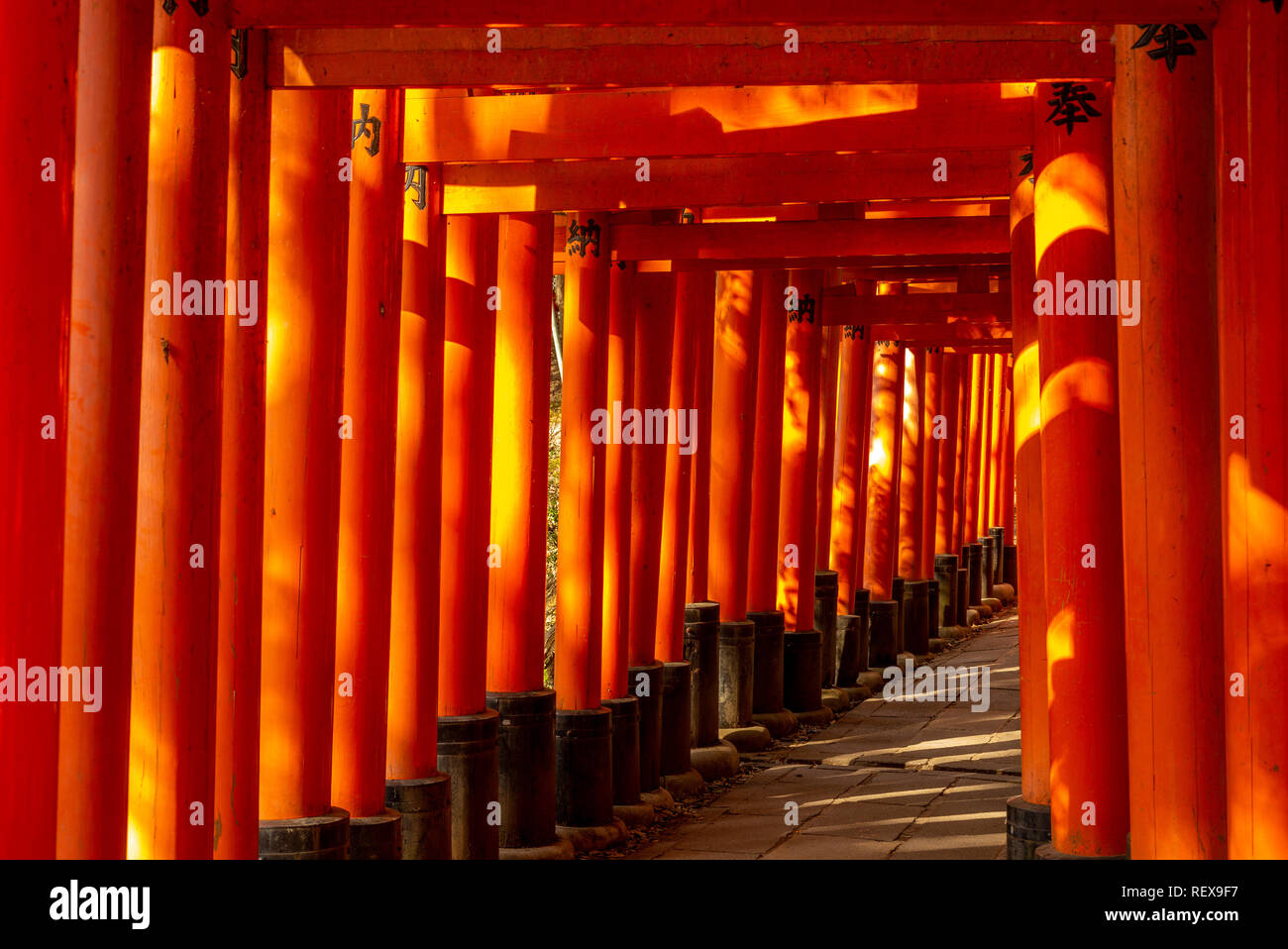 Senbon torii path in Fushimi Inari-taisha, kyoto, japan Stock Photo