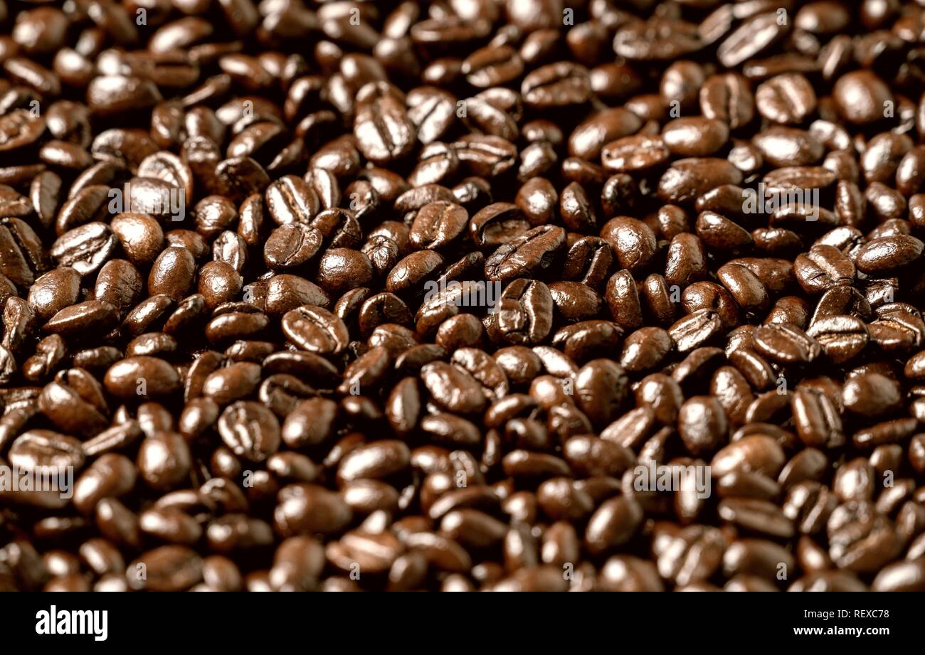 Roasted coffee beans on a flat background textured Stock Photo