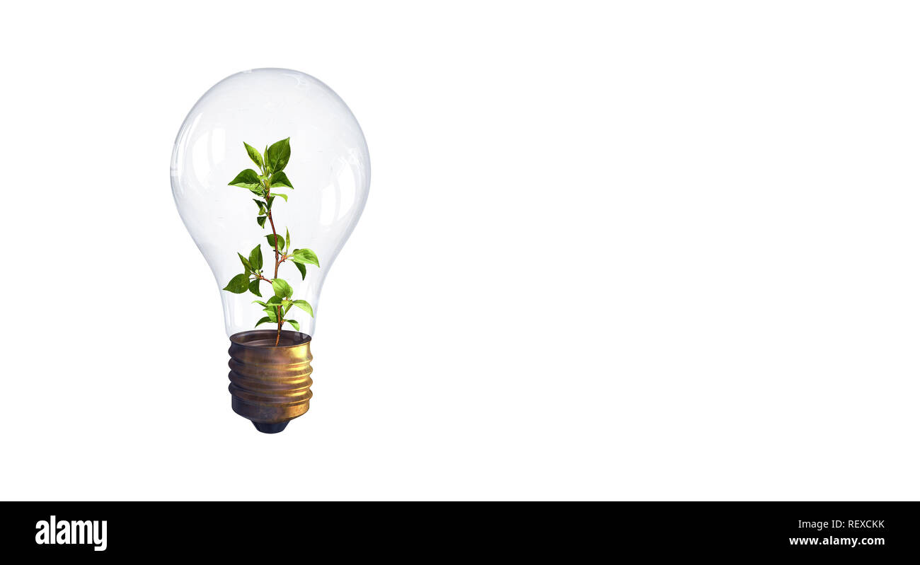 Light Bulb with plant inside on white background. Mixed media Stock ...