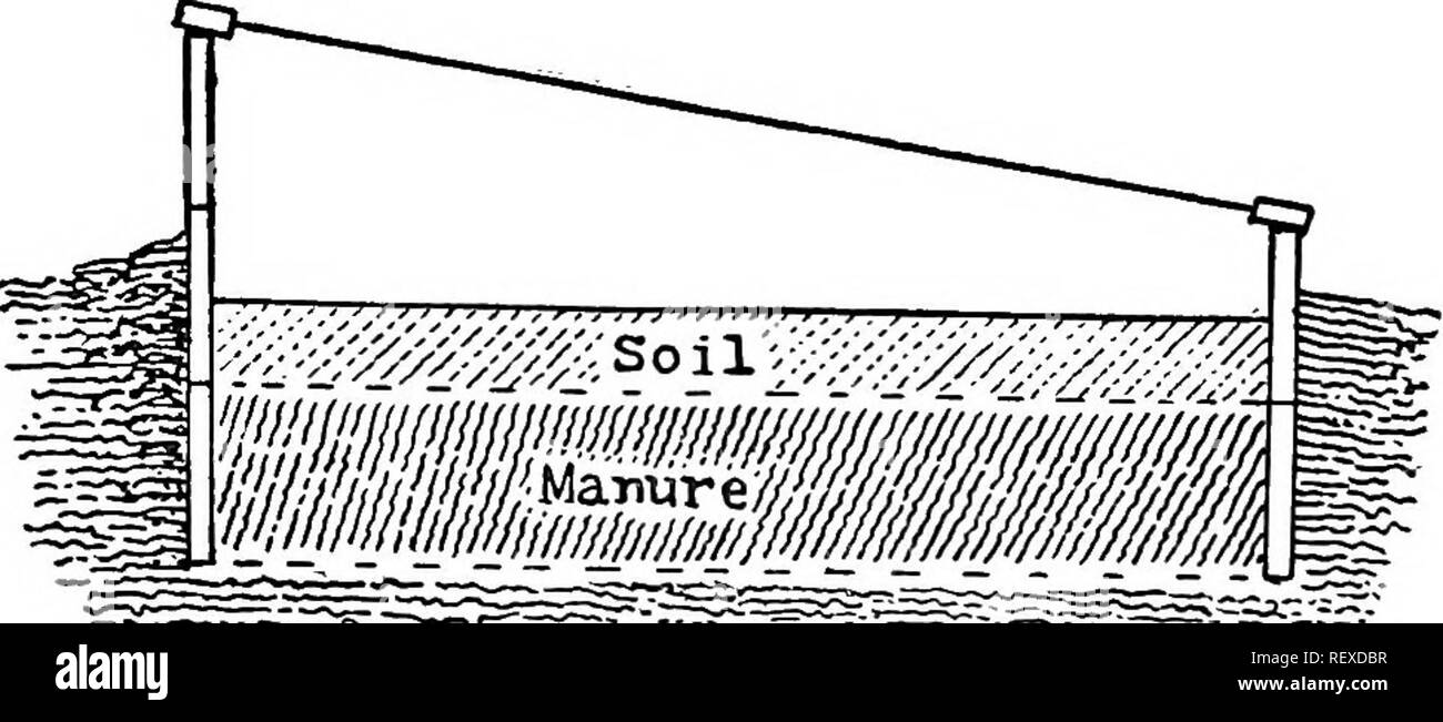 . Making horticulture pay; experiences in gardening and fruit growing. Gardening. 144 MAKING HORTICULTURE PAY deep. If not rich and mellow, add one-quarter of well-rotted stable manure. The soil should not be so wet it will pack. &quot; After the soil is on cover the whole surface of the bed with old carpets, bags, or any material that will keep out cold and retain heat. Let it remain a few days, or until the soil is warmed through. Use a thermometer to determine the heat. When 60 to 80 degrees is reached, plant the seed, marking off the drills 4 to 6 inches apart and about three-quarters. HOT Stock Photo