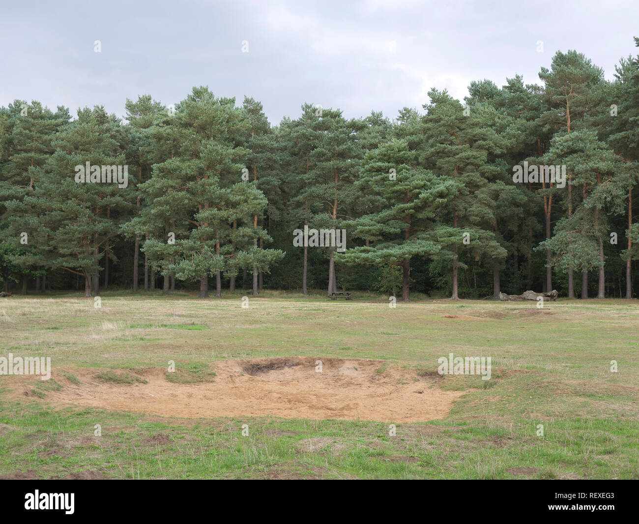 Willingham woods lincolnshire hires stock photography and images Alamy
