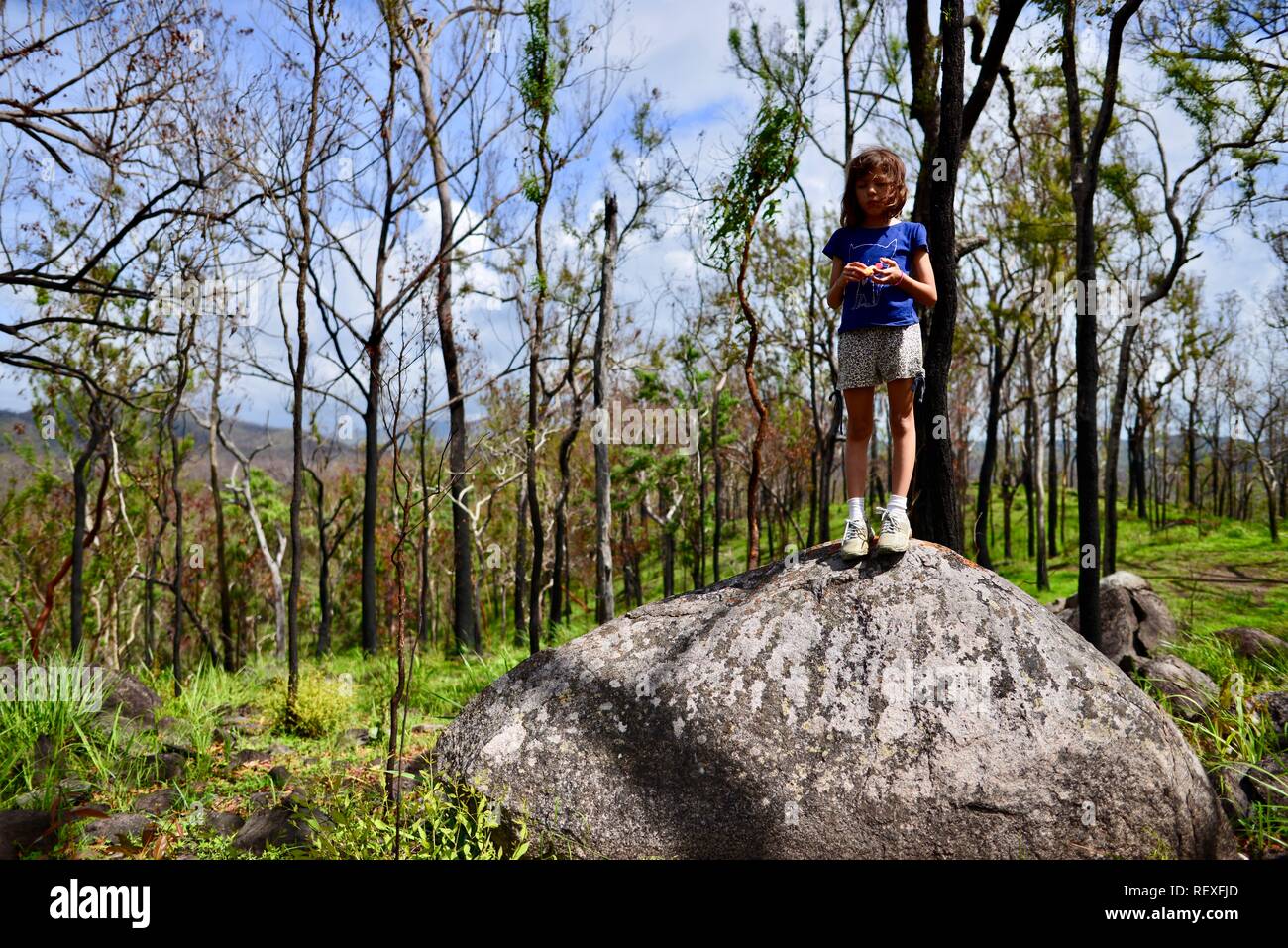 A young girl stands on top of a boulder alone in a forest, Mia Mia State Forest, Queensland, Australia Stock Photo