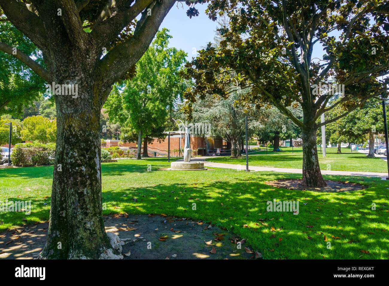 Beautiful public park with mature Magnolia trees in downtown Los Gatos,  close to the Civic Center, south San Francisco bay area, California Stock  Photo - Alamy