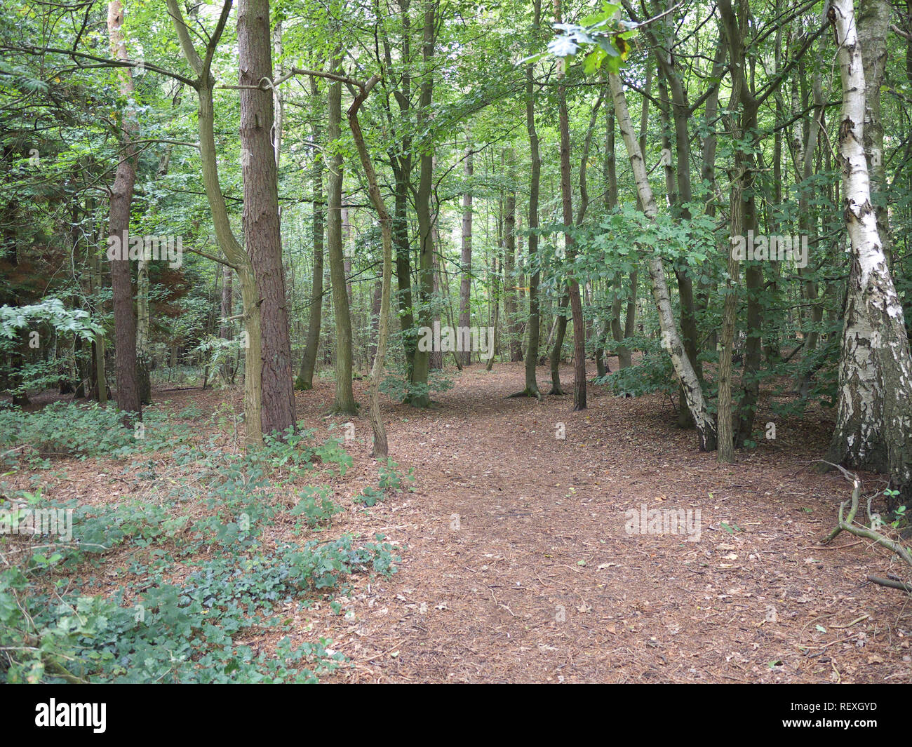 Market rasen lincolnshire hires stock photography and images Alamy